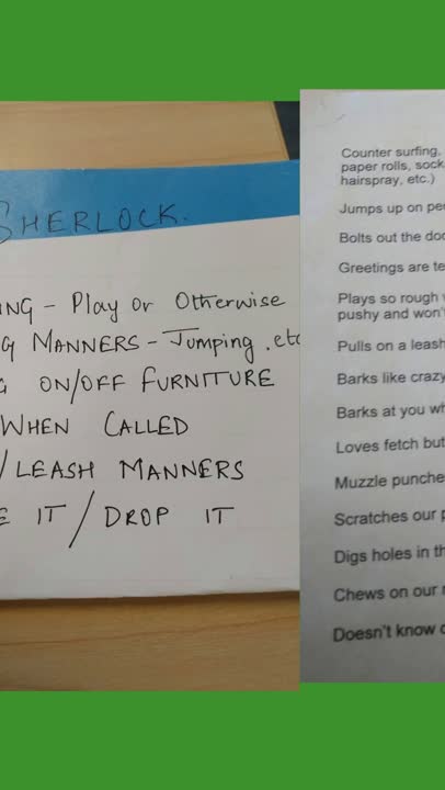 These are some examples of training goals clients came to Justine with for their private lessons. Most are five to seven bullet points long and include things like "no jumping on guests", "heel and leave it", and other behavior changes.